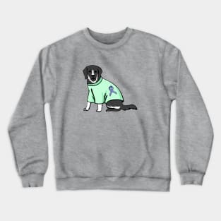 child abuse awareness Crewneck Sweatshirt